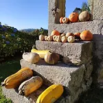 Dom wakacyjny Casa Da Mata *