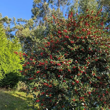 Casa Da Mata Nyaraló
