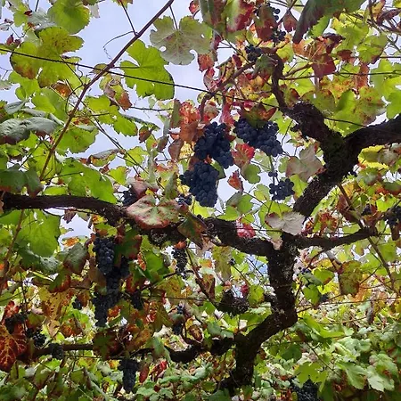 Сasa de vacaciones Casa Da Mata *