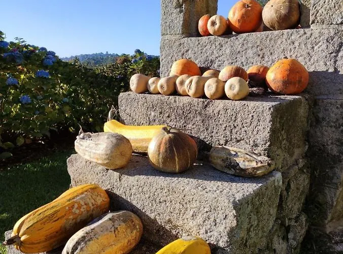 Сasa de vacaciones Casa Da Mata *