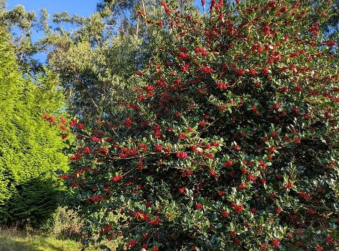 Casa Da Mata Сasa de vacaciones