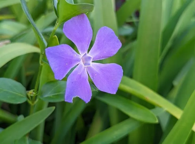 Casa Da Mata Prázdninový dům *
