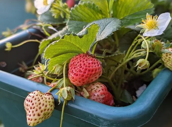 Hébergement de vacances Casa Da Mata *